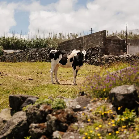 Sundaze Fenais da Luz